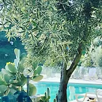 Greco 빌라 로사노