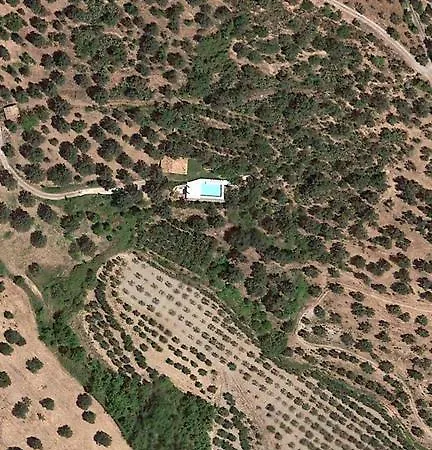 Greco רוסאנו