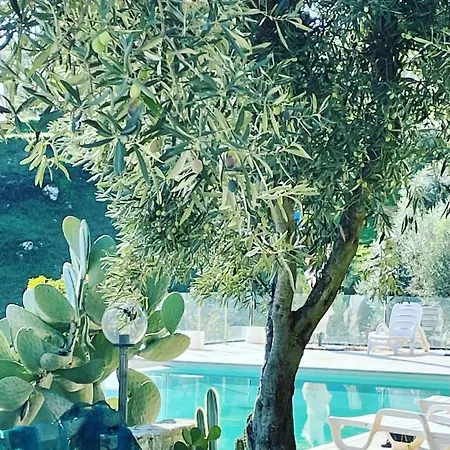 Greco Villa Rossano